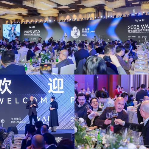 开云APP网址：2025 WAD豪宅设计建造专业峰会盛大启幕(图6)