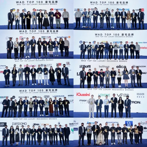 开云APP网址：2025 WAD豪宅设计建造专业峰会盛大启幕(图10)